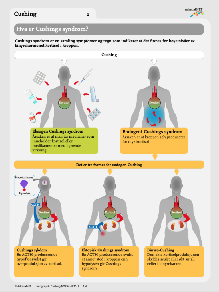 Hva-er-Cushings-syndrom-infographic-NOR-1